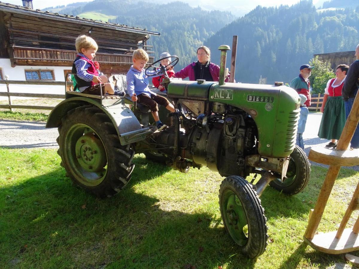 Landhaus Tirol ホップフガルテン・イム・ブリクセンタール エクステリア 写真