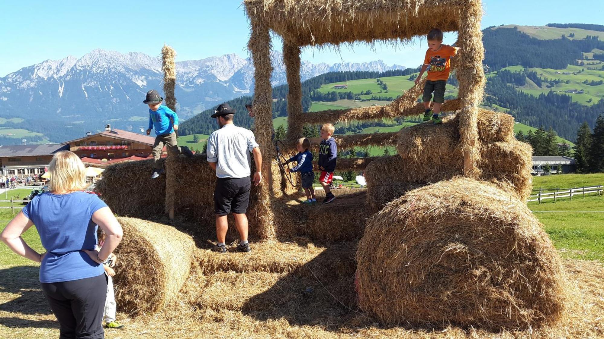 Landhaus Tirol ホップフガルテン・イム・ブリクセンタール エクステリア 写真