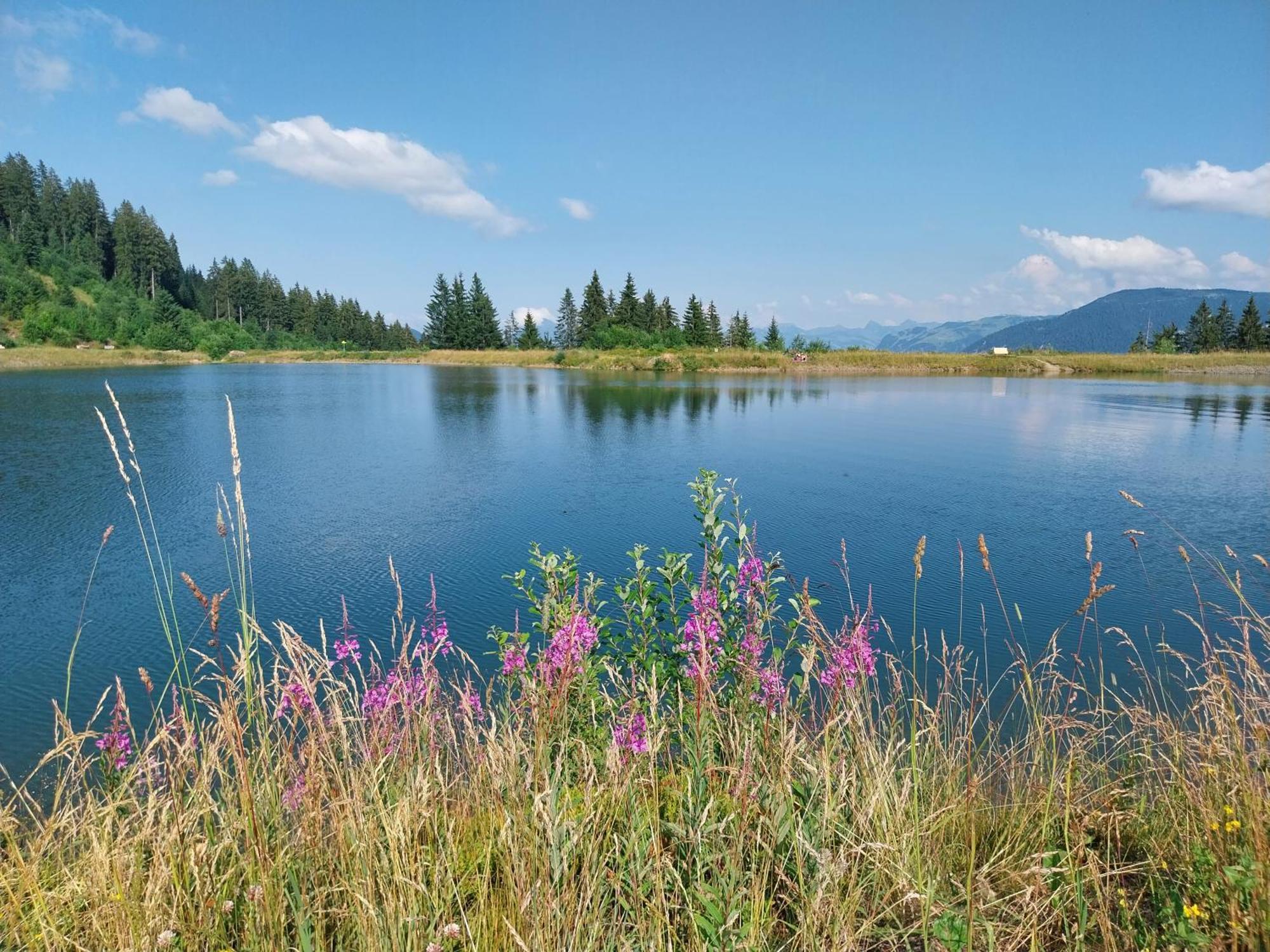 Landhaus Tirol ホップフガルテン・イム・ブリクセンタール エクステリア 写真