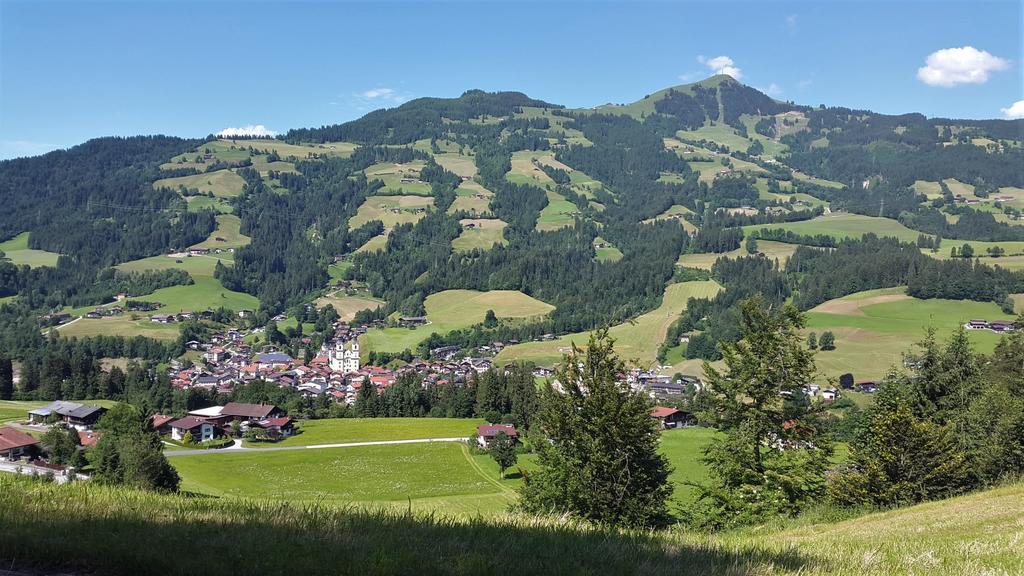 Landhaus Tirol ホップフガルテン・イム・ブリクセンタール エクステリア 写真